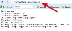 Technical SEO Best Practices - Robots.txt